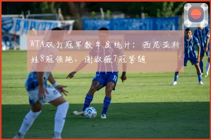 WTA双打冠军数年度统计：西尼亚科娃8冠领跑，谢淑薇7冠紧随